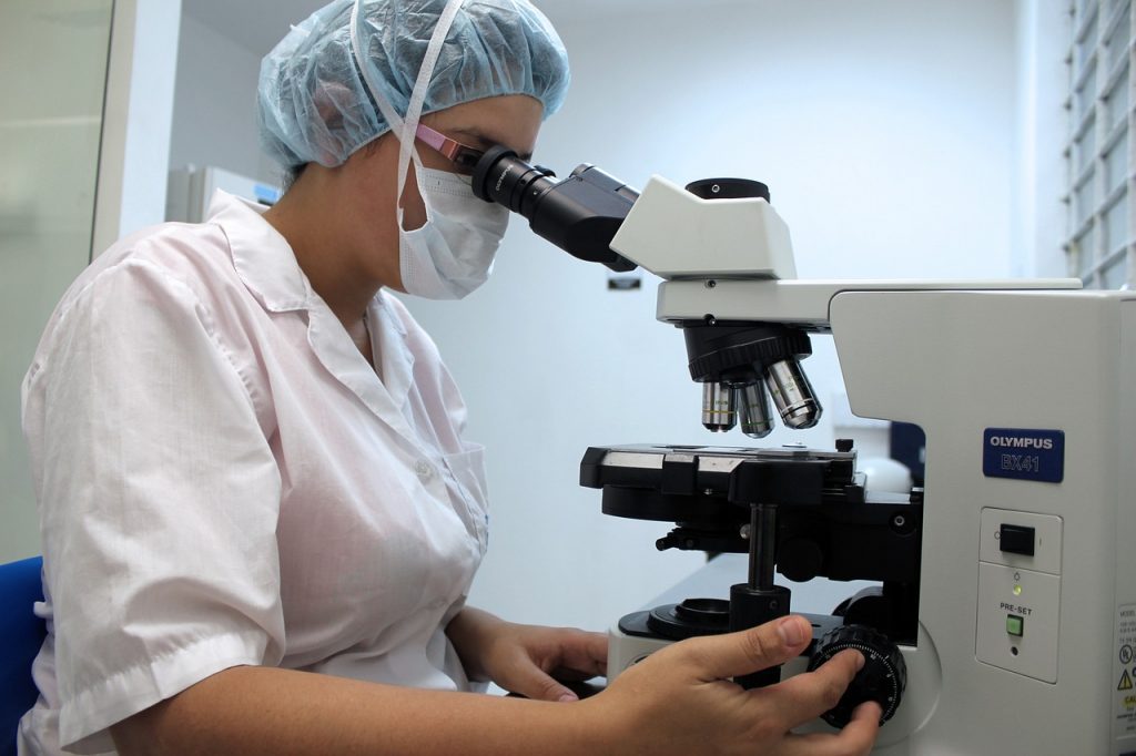 Cellule staminali mesenchimali analizzate in laboratorio per trattamenti innovativi contro la paralisi cerebrale