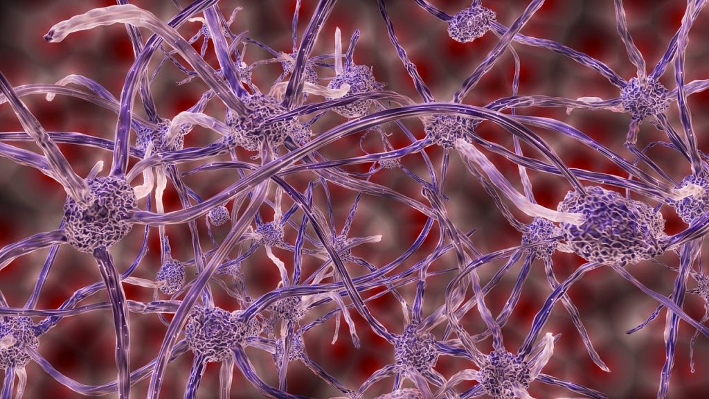 Illustrazione di neuroni, derivati da cellule staminali.