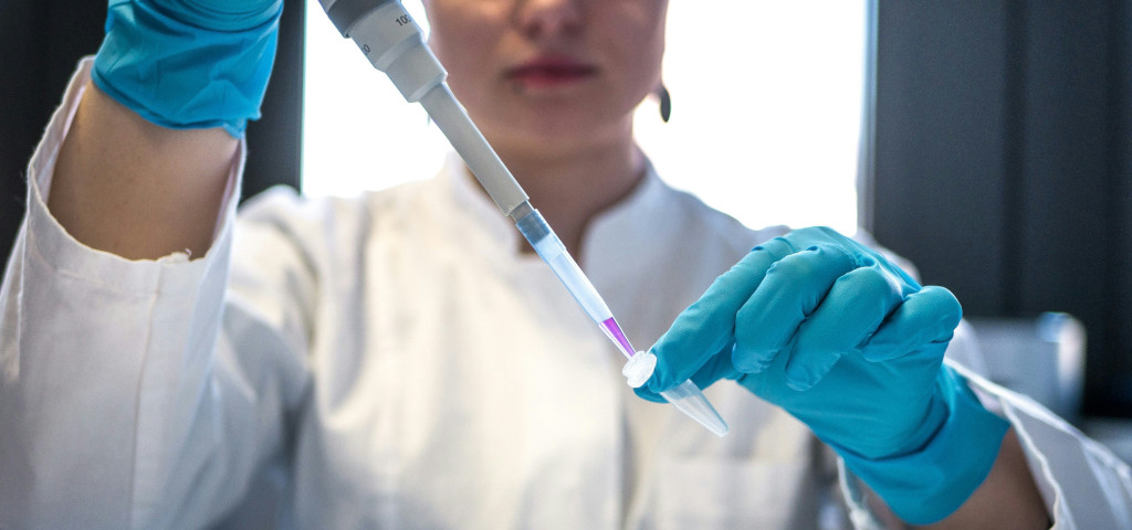 Ricercatrice lavora sugli organoidi creati a partire dalle cellule staminali