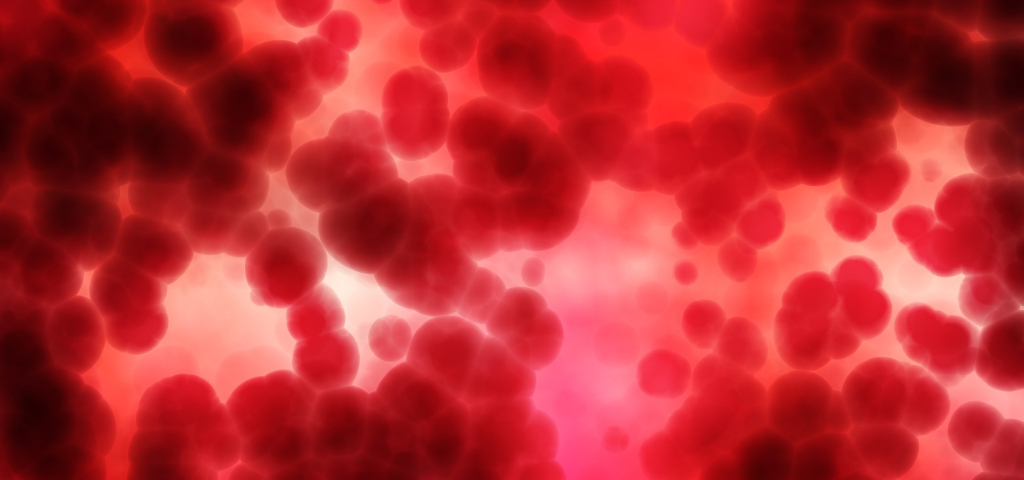 Sangue cordonale, fonte di cellule staminali ematopoietiche utilizzabili nel trapianto